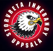 storvreta innebandy